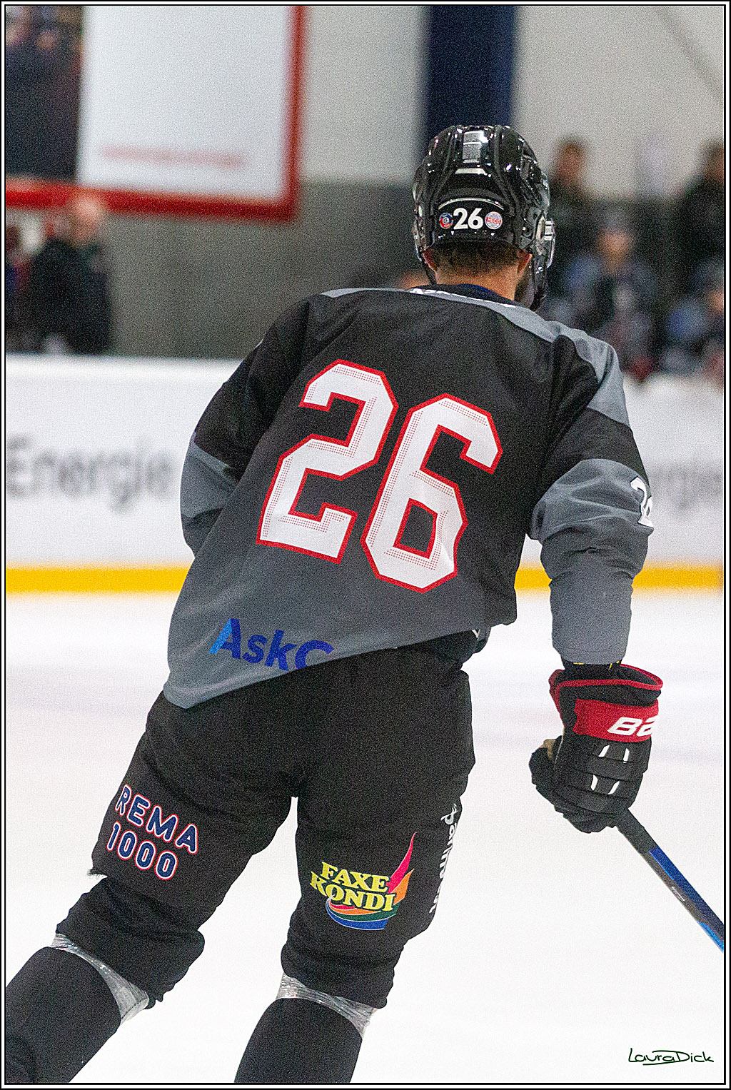 PENNY DEL;  Koelner Haie - Aalborg Pirates; Koeln, 21.08.2021